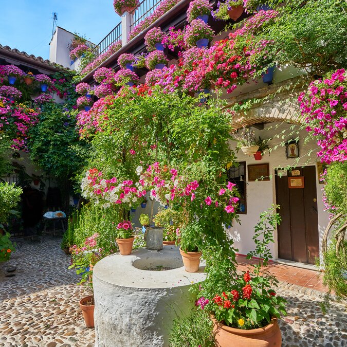Patio in Cordoba | © shutterstock_1362797339
